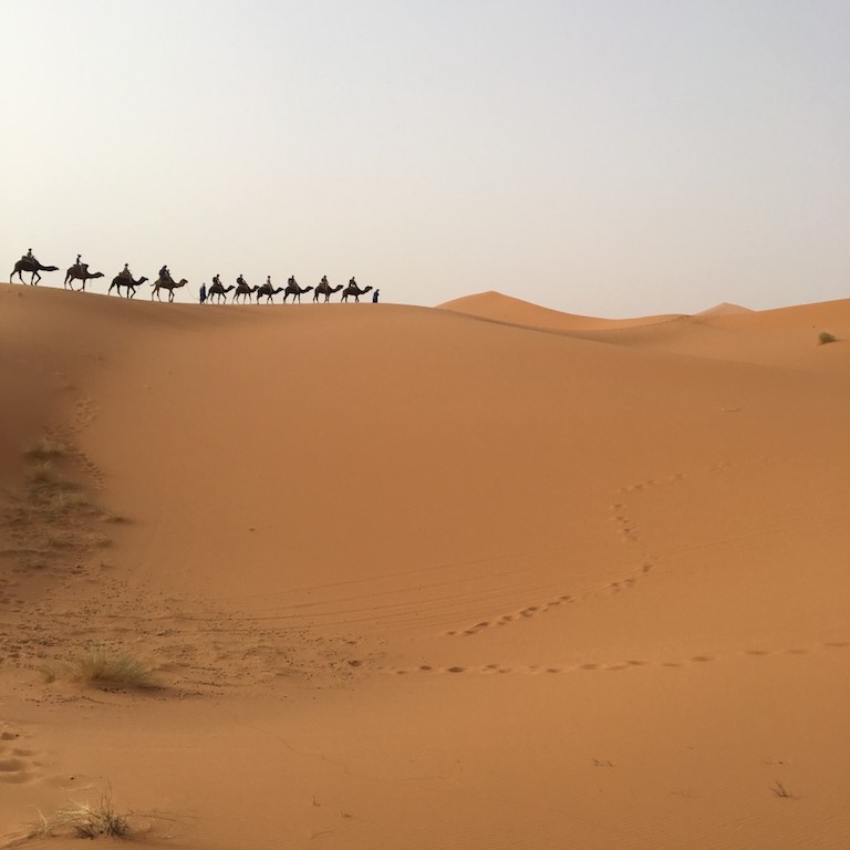 Kameltour in die Wüste